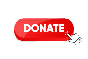 istockphoto 1464257120 612x612 copy